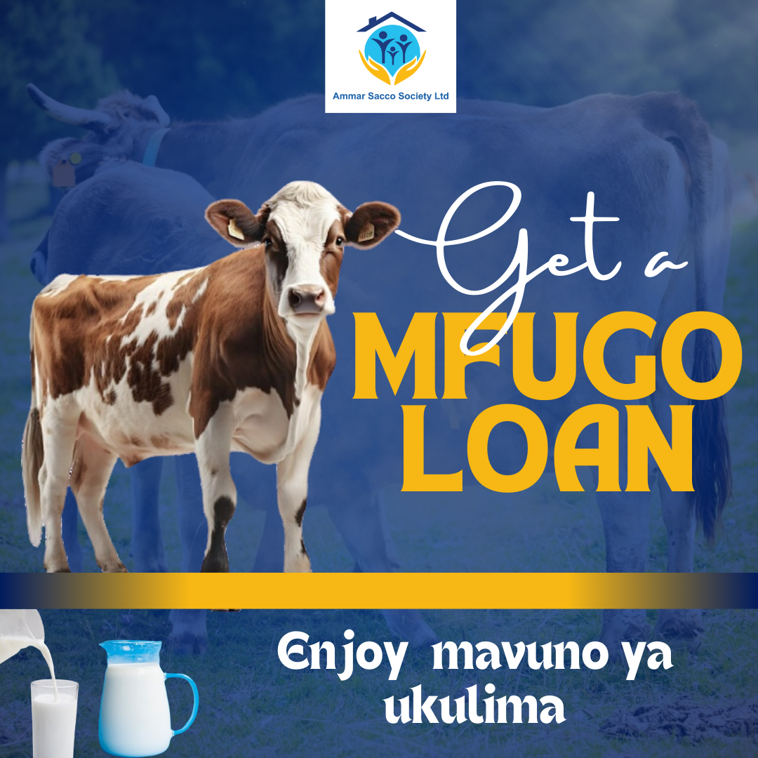 Education Loan for everyone one 